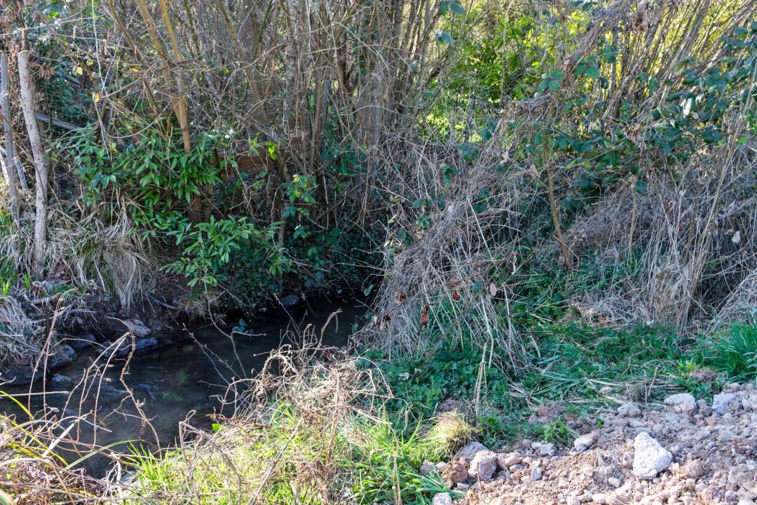 Dvojna kuća Trier Prodajem Njemačka |  MG 2579