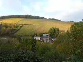 Lapos Saarburg Eladó Németország | Aussicht 2