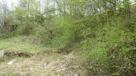 terreno de construção Zerf Venda Alemanha | P1020454