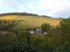 apartamento andar Saarburg À venda Alemanha | Aussicht 2