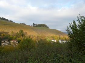 扁平 萨尔堡 出售 德国 | Aussicht 3