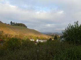 扁平 萨尔堡 出售 德国 | Aussicht 1