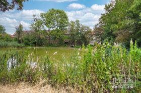 Kastély Sandersdorf Eladó Németország | lang5Bau 10 Westansicht