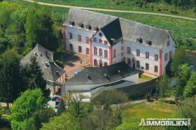 Luftbild Schlosshotel - Château en vente à Echternacherbrück-Bitbourg-Prüm, Allemagne