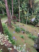 Dom wolnostojący Teresópolis  Brazylia