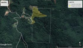 building ground  São Pedro de Alcântara for sale Brazil