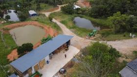 building ground  São Pedro de Alcântara for sale Brazil