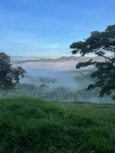 finca Soledade de Minas In vendita Brasile