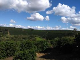 Land-/Forstwirtschaft Luís Tristão zu kaufen Brasilien