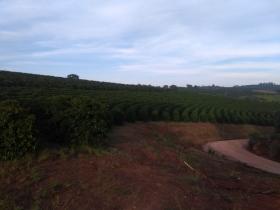 Land-/Forstwirtschaft Luís Tristão zu kaufen Brasilien