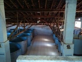 Land-/Forstwirtschaft Luís Tristão zu kaufen Brasilien