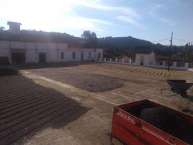 Land-/Forstwirtschaft Luís Tristão zu kaufen Brasilien