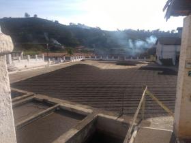 Land-/Forstwirtschaft Luís Tristão zu kaufen Brasilien