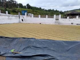 Land-/Forstwirtschaft Luís Tristão zu kaufen Brasilien