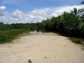 Plots / Land  Ilhéus for sale Brazil