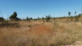 Rolnictwo/Leśnictwo na sprzedaż w Barreiras, Brazylia Rolnictwo/Leśnictwo na sprzedaż w Barreiras, Brazylia