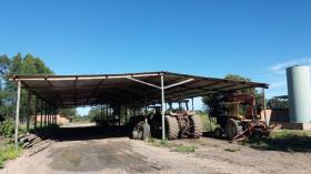 农业/林业 巴雷拉斯 巴西