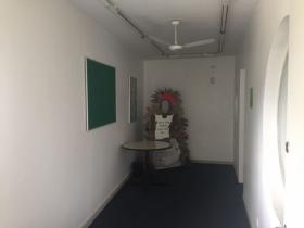 Yaşam ve Firma, iş gibi São Paulo Satılık Brezilya