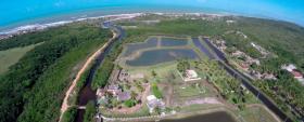 Landbouw/Bosbouw te koop in Sibaúma-Sibaúma, Brazil