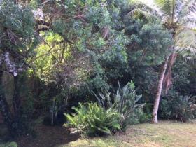 Hus Penha Til salgs Brazil