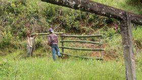 Terra/Silvicultura Ilhéus Venda Brasil