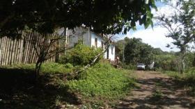 Terra/Silvicultura Ilhéus Venda Brasil