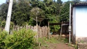 Terra/Silvicultura Ilhéus Venda Brasil