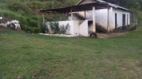 Terra/Silvicultura Ilhéus Venda Brasil