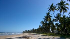 Plots / Land  for sale in Ilhéus-Nelson Costa, Brazil