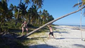 Plots / Land Ilhéus for sale Brazil