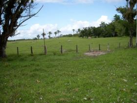 土地 農業/林業 ボカ・ド・リオ ブラジル