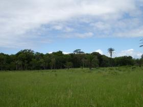 土地 農業/林業 ボカ・ド・リオ ブラジル