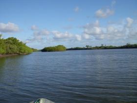 土地 農業/林業 ボカ・ド・リオ ブラジル