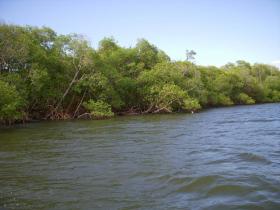 土地 農業/林業 ボカ・ド・リオ ブラジル