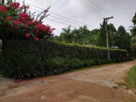 Ev São Paulo Satılık Brezilya