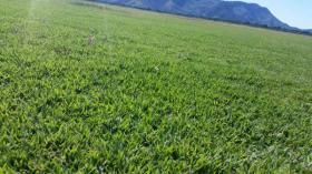 Nieruchomości Saquarema  Brazylia