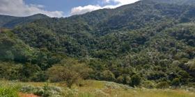 農業/林業 エストラーダ マウア - ミラノ、Km 10 ブラジル