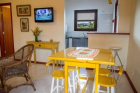 扁平 帕拉蒂  巴西