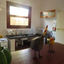 扁平 帕拉蒂  巴西