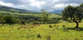 Parcele Diogen Sampaio Prodajem Brazil