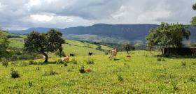 Parcele Diogen Sampaio Prodajem Brazil