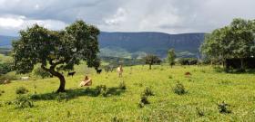 Parcele Diogen Sampaio Prodajem Brazil