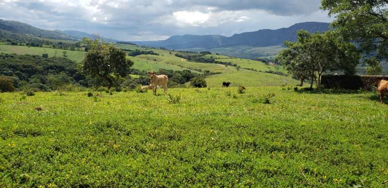 Land Diogenes Sampaio Te Koop Brazil