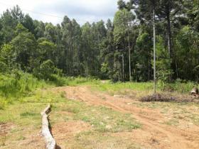 Emlak arazi / ormancılık Torreões Satılık Brezilya