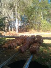 Emlak arazi / ormancılık Torreões Satılık Brezilya