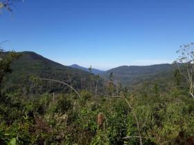 Emlak arazi / ormancılık Torreões Satılık Brezilya