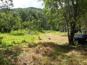 Emlak arazi / ormancılık Torreões Satılık Brezilya