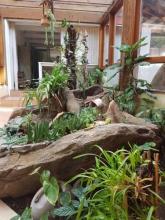 别墅 / 豪华物业 塞拉禁忌  巴西