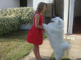 Holiday home Lido di Spina for rent Italy