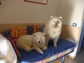 Holiday home Lido di Spina for rent Italy